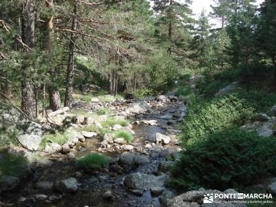 Valle del Lozoya - Camino de la Angostura;rutas faciles senderismo madrid fotos de senderismo